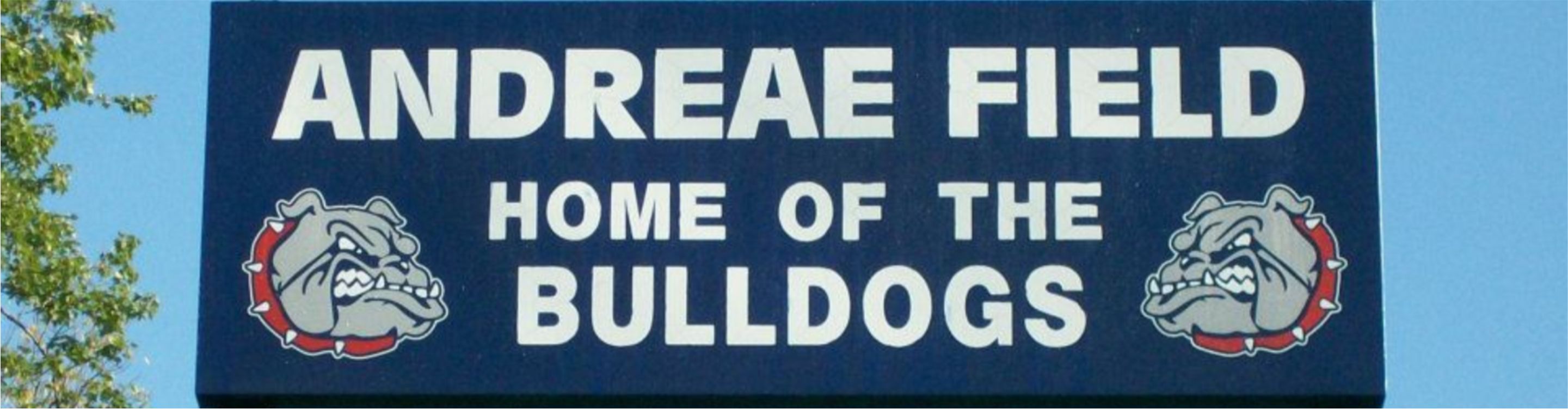 Bulldogs